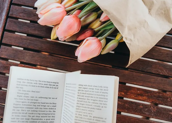 Gasthuis Anatota Hvar Hvar Town