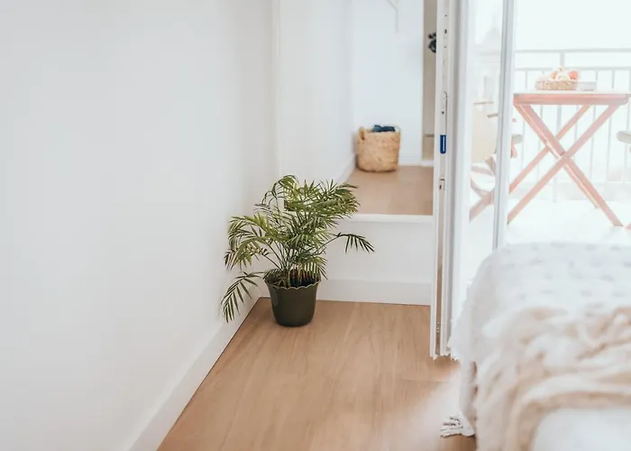 Anatota Hvar Gasthuis