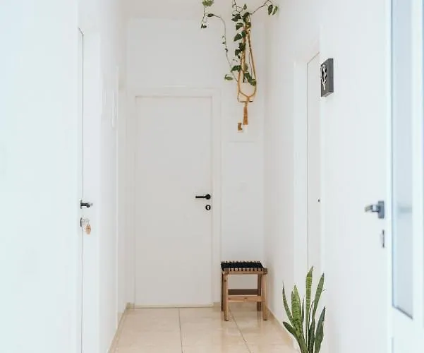 Anatota Hvar Gasthuis